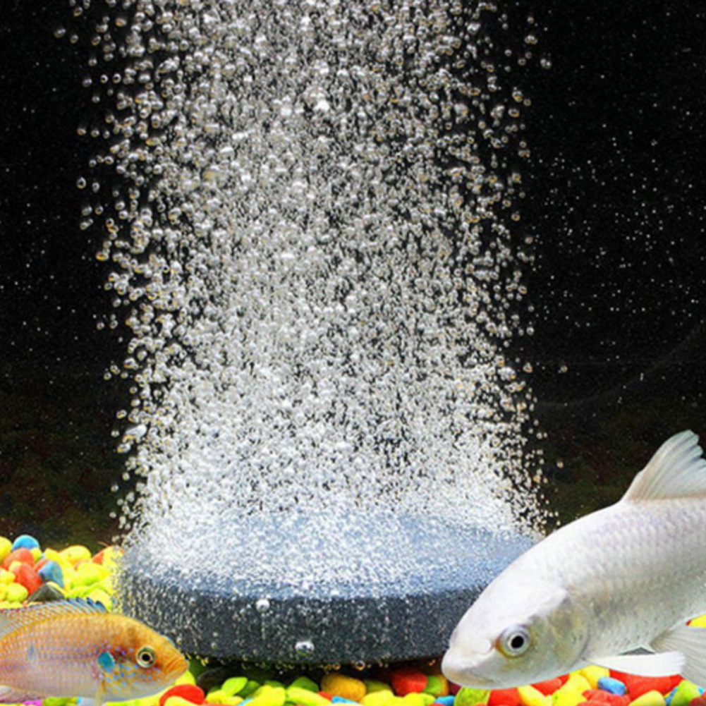 Untuk Aerator Kolam Tenaga Sur - Solar Pond Aerator Oxygen Pump ulasan dan harga