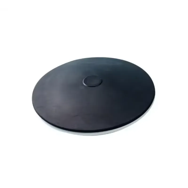 1pcs 10pcs 215mm Diffuser Udar - Air Diffuser Disc Bubble Aeration Pond ulasan dan harga